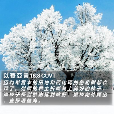 以 賽 亞 書 16:8 CUVT Bible Verse Image