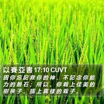 以 賽 亞 書 17:10 CUVT Bible Verse Image