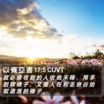 以 賽 亞 書 17:5 CUVT Bible Verse Image