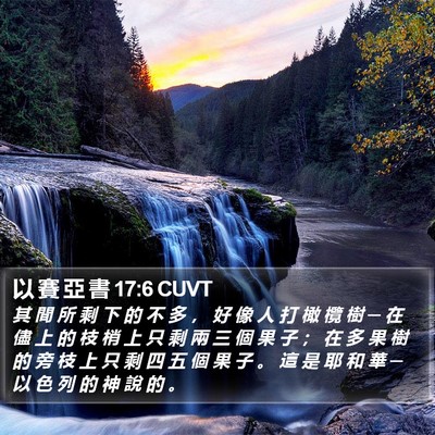 以 賽 亞 書 17:6 CUVT Bible Verse Image