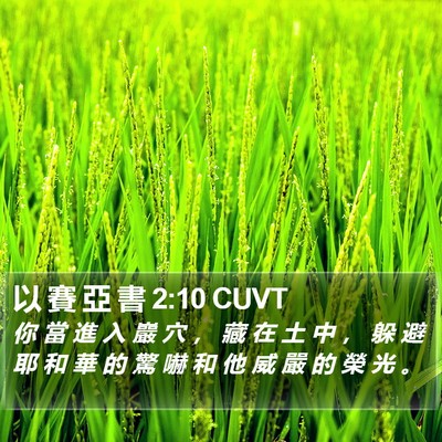 以 賽 亞 書 2:10 CUVT Bible Verse Image