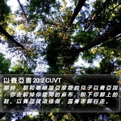 以 賽 亞 書 20:2 CUVT Bible Verse Image