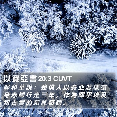 以 賽 亞 書 20:3 CUVT Bible Verse Image