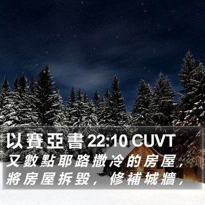 以 賽 亞 書 22:10 CUVT Bible Verse Image