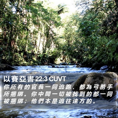 以 賽 亞 書 22:3 CUVT Bible Verse Image