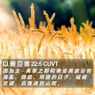 以 賽 亞 書 22:5 CUVT Bible Verse Image