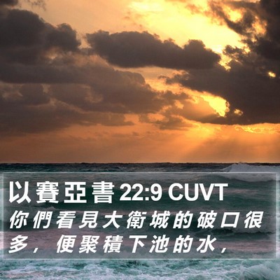 以 賽 亞 書 22:9 CUVT Bible Verse Image