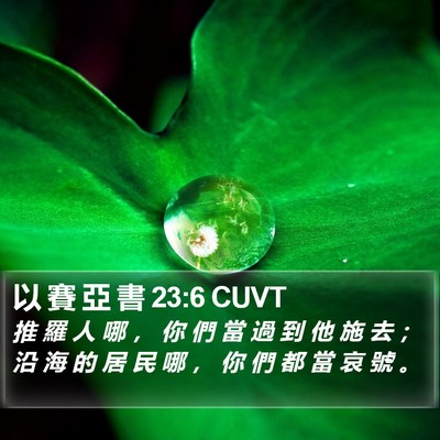 以 賽 亞 書 23:6 CUVT Bible Verse Image