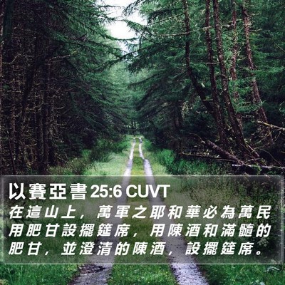 以 賽 亞 書 25:6 CUVT Bible Verse Image