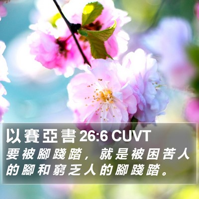 以 賽 亞 書 26:6 CUVT Bible Verse Image