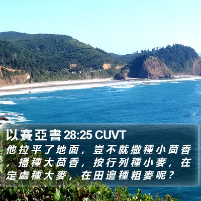 以 賽 亞 書 28:25 CUVT Bible Verse Image