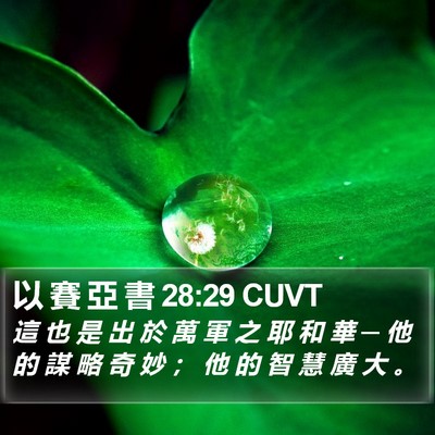 以 賽 亞 書 28:29 CUVT Bible Verse Image