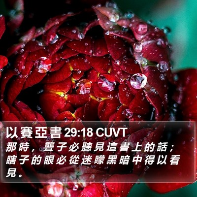 以 賽 亞 書 29:18 CUVT Bible Verse Image