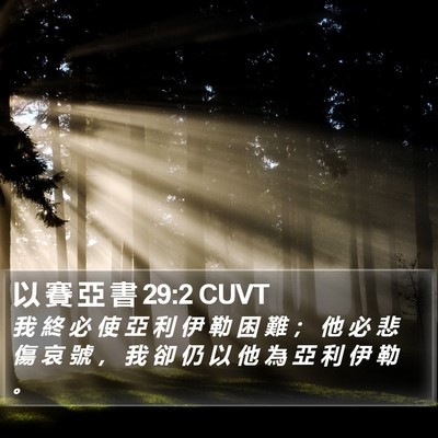以 賽 亞 書 29:2 CUVT Bible Verse Image