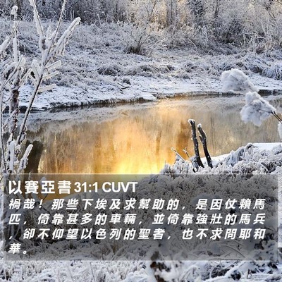 以 賽 亞 書 31:1 CUVT Bible Verse Image