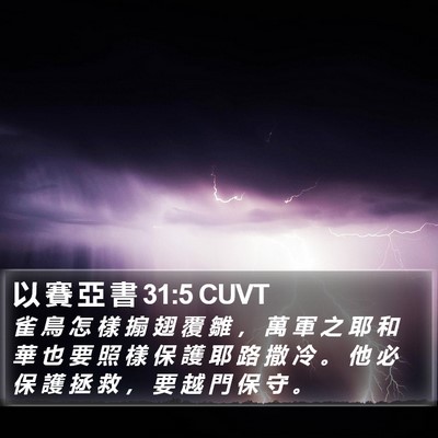 以 賽 亞 書 31:5 CUVT Bible Verse Image