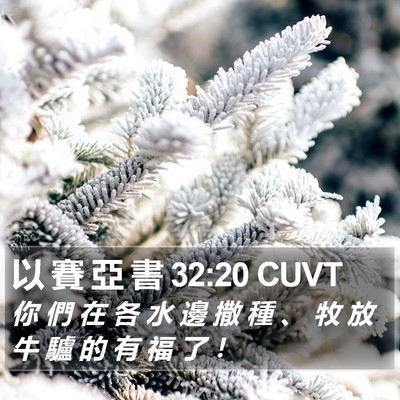 以 賽 亞 書 32:20 CUVT Bible Verse Image