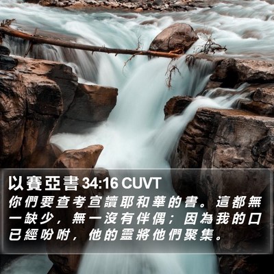 以 賽 亞 書 34:16 CUVT Bible Verse Image