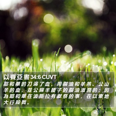 以 賽 亞 書 34:6 CUVT Bible Verse Image