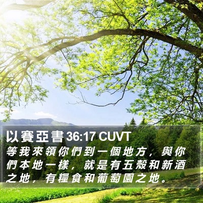 以 賽 亞 書 36:17 CUVT Bible Verse Image