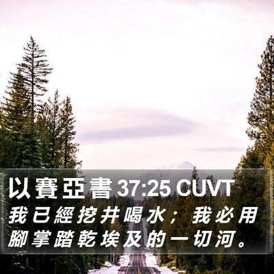 以 賽 亞 書 37:25 CUVT Bible Verse Image