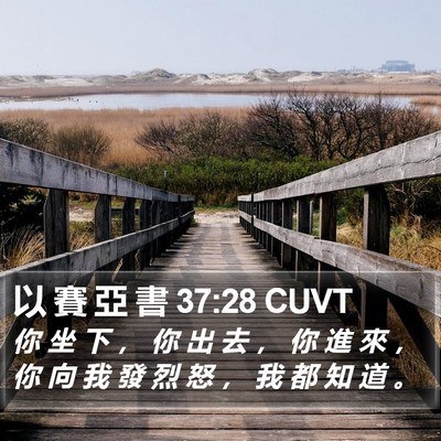 以 賽 亞 書 37:28 CUVT Bible Verse Image