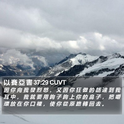 以 賽 亞 書 37:29 CUVT Bible Verse Image