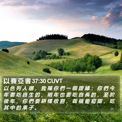 以 賽 亞 書 37:30 CUVT Bible Verse Image