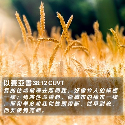 以 賽 亞 書 38:12 CUVT Bible Verse Image