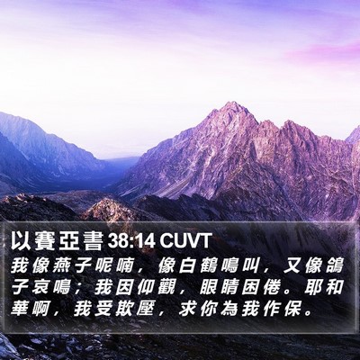 以 賽 亞 書 38:14 CUVT Bible Verse Image
