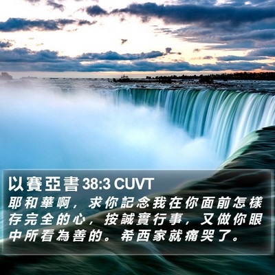 以 賽 亞 書 38:3 CUVT Bible Verse Image