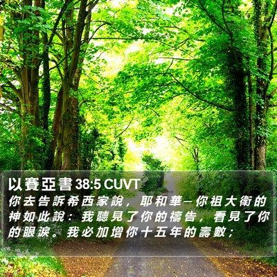以 賽 亞 書 38:5 CUVT Bible Verse Image