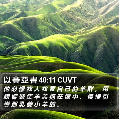以 賽 亞 書 40:11 CUVT Bible Verse Image