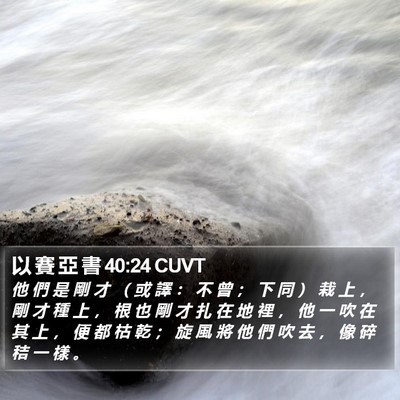 以 賽 亞 書 40:24 CUVT Bible Verse Image