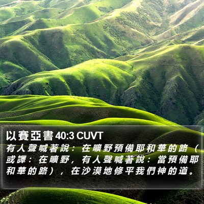 以 賽 亞 書 40:3 CUVT Bible Verse Image