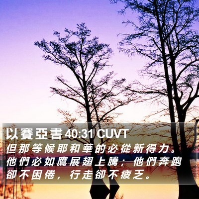 以 賽 亞 書 40:31 CUVT Bible Verse Image