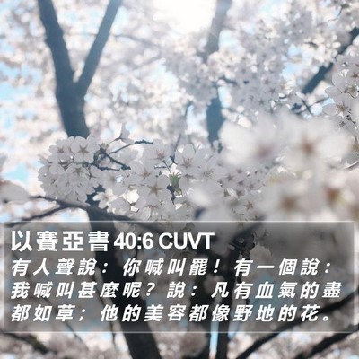 以 賽 亞 書 40:6 CUVT Bible Verse Image