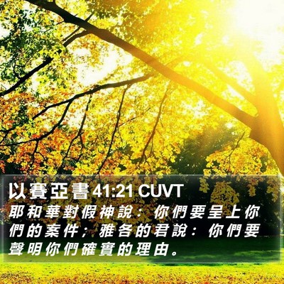 以 賽 亞 書 41:21 CUVT Bible Verse Image
