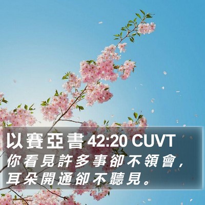 以 賽 亞 書 42:20 CUVT Bible Verse Image