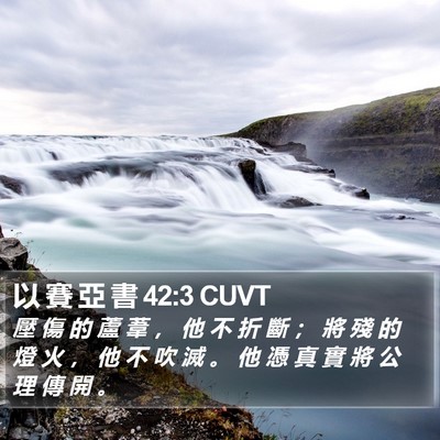 以 賽 亞 書 42:3 CUVT Bible Verse Image
