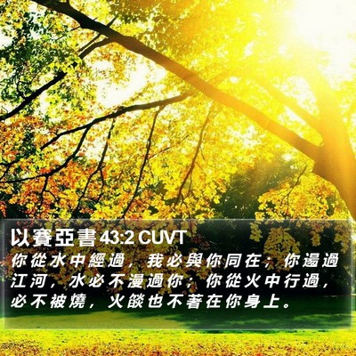 以 賽 亞 書 43:2 CUVT Bible Verse Image
