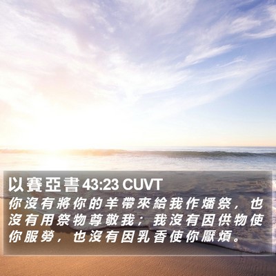 以 賽 亞 書 43:23 CUVT Bible Verse Image
