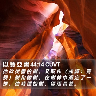 以 賽 亞 書 44:14 CUVT Bible Verse Image