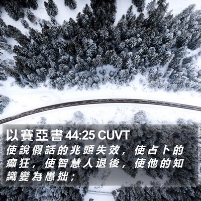 以 賽 亞 書 44:25 CUVT Bible Verse Image