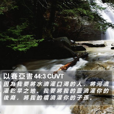 以 賽 亞 書 44:3 CUVT Bible Verse Image