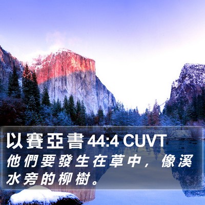 以 賽 亞 書 44:4 CUVT Bible Verse Image