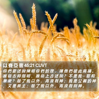 以 賽 亞 書 45:21 CUVT Bible Verse Image