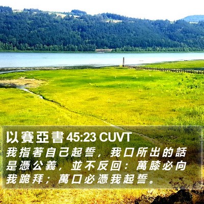 以 賽 亞 書 45:23 CUVT Bible Verse Image