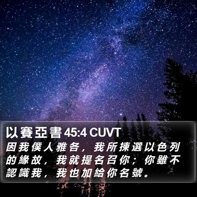 以 賽 亞 書 45:4 CUVT Bible Verse Image