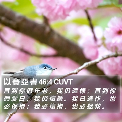以 賽 亞 書 46:4 CUVT Bible Verse Image